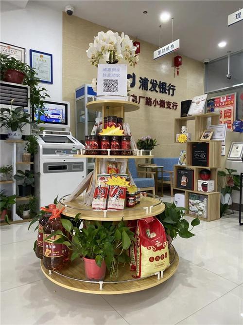 科技惠农促发展 普惠到家解民忧